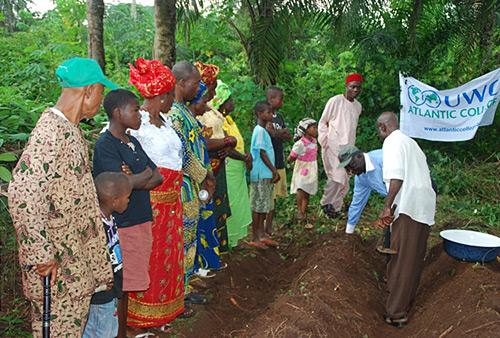 Improving Yam Production in Nigeria